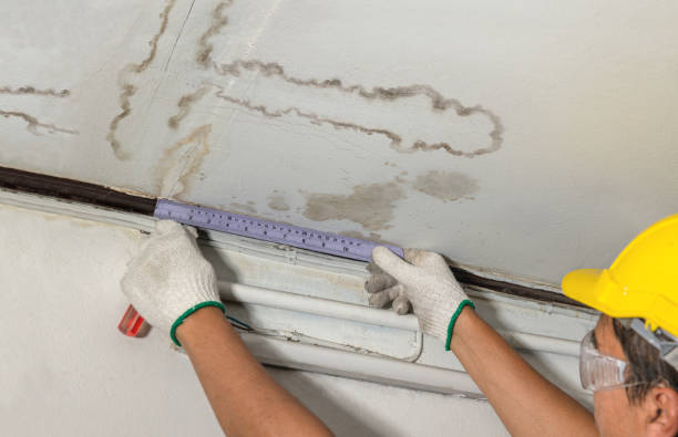 Reliable Burst Pipe Cleanup contractor in Magnolia, NC by Water Damage Irwin